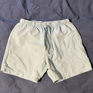 Men's Light Mint Swim Trunks